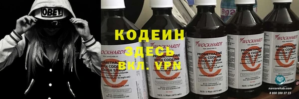 крисы Богородицк
