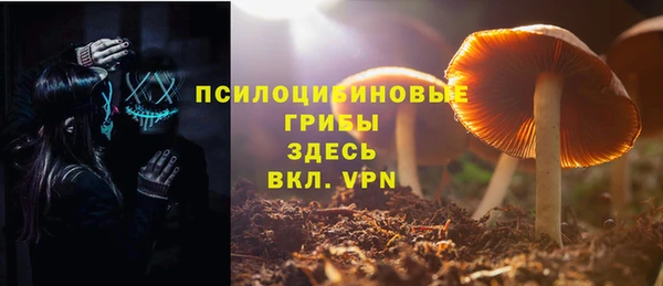 2c-b Богородск