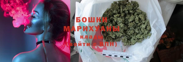 ECSTASY Богданович