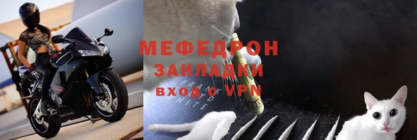 крисы Богородицк
