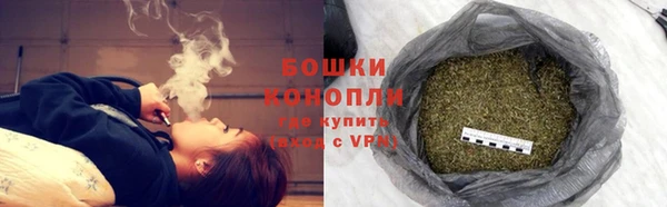 ECSTASY Богданович
