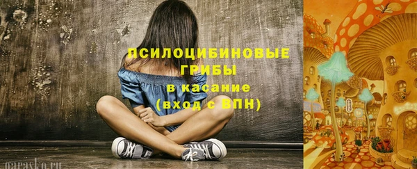 ECSTASY Богданович