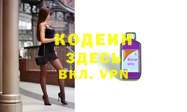 крисы Богородицк