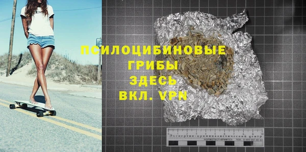 крисы Богородицк
