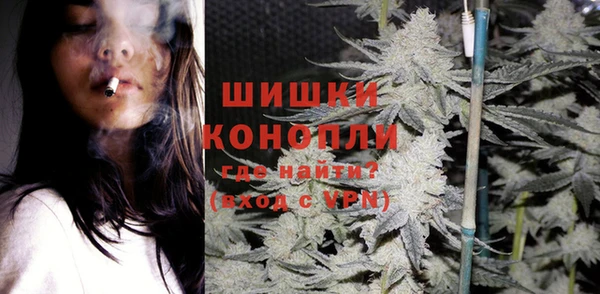 ECSTASY Богданович