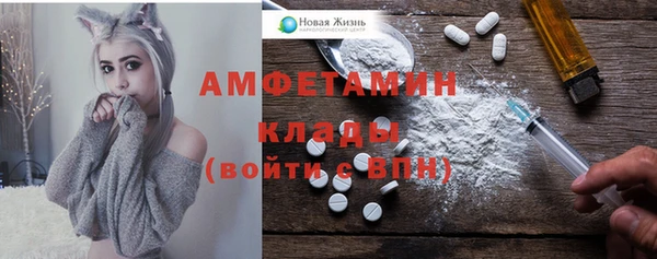 крисы Богородицк