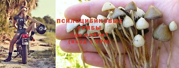 2c-b Богородск