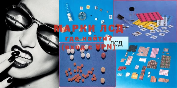 ECSTASY Богданович
