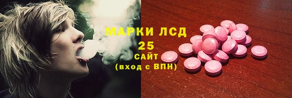ECSTASY Богданович