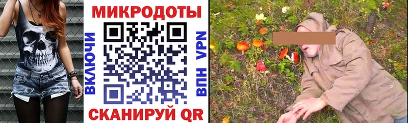 где найти   Медвежьегорск  Псилоцибиновые грибы ЛСД 